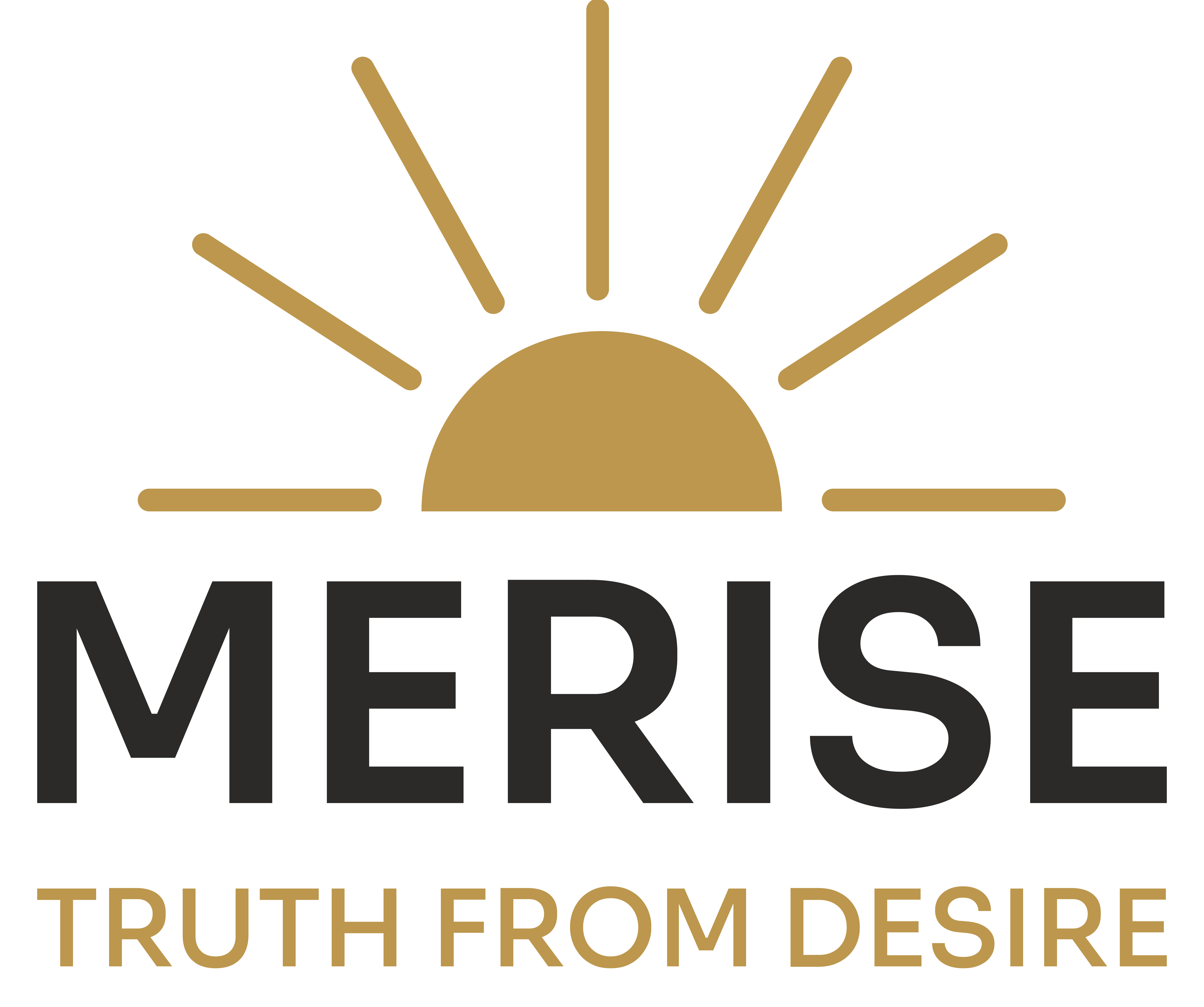 Merise